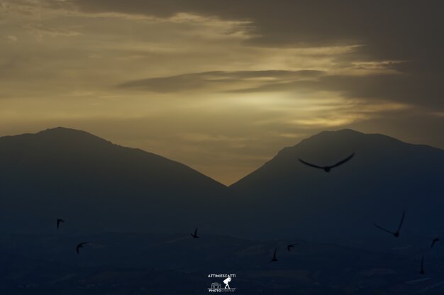 cfcf5a3b-e48e-4d70-bdf9-a2bfdd809ea3 cfcf5a3b-e48e-4d70-bdf9-a2bfdd809ea3