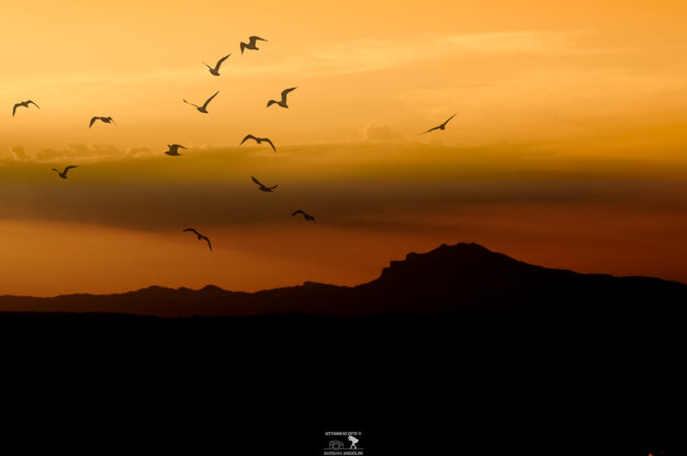 a6336395-29d3-4568-9b88-967936d309fa.jpeg a6336395-29d3-4568-9b88-967936d309fa.jpeg