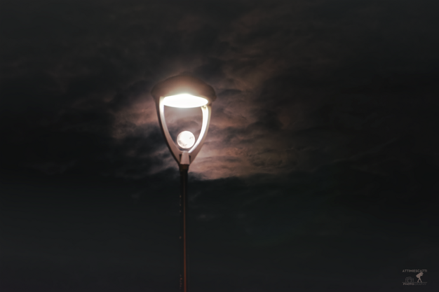 e5094de2-bd29-47cc-b92b-9e4ca25e935d