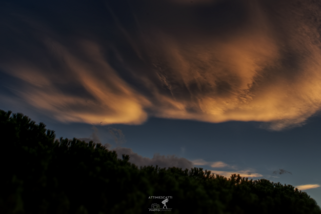 13e744ae-67eb-4e3c-8ffd-1c49770ed47c 13e744ae-67eb-4e3c-8ffd-1c49770ed47c