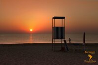 1e05bcb3-32f7-4973-bf2e-f11b65c17105