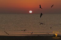 38856058-d856-4411-be89-c6a0c465765d