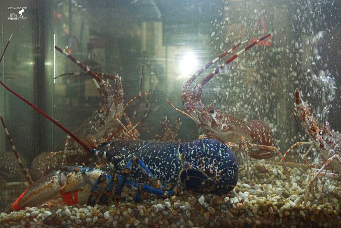 fb4817ca-3f9d-487f-9189-c33ec9b38ca0