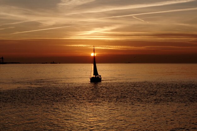 35ff148e-bd8e-413f-80ae-b9fc2b9cabcb.jpeg 35ff148e-bd8e-413f-80ae-b9fc2b9cabcb.jpeg