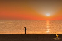 97f4336b-0510-4f78-86d9-e59ace3f756b