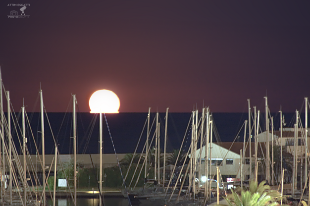 d4c3a593-1230-4573-bce2-25179b56e3dd