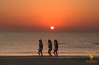 094a5007-4cb9-48de-95ef-83750fd88456