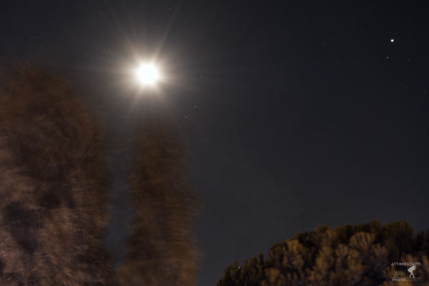 76839073-b83f-4e8d-b246-08677575e09a