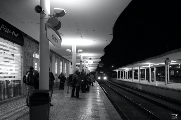 cd04929c-8cce-4122-bb90-a7aa656e7f1b