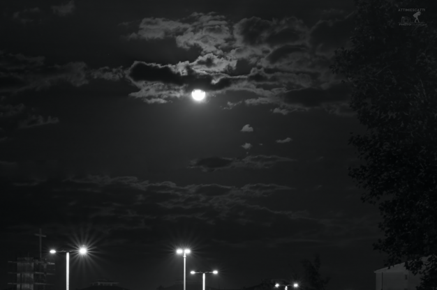 7e86445d-5968-4619-8ea0-3bf7f761f788