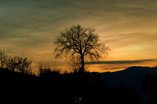 8ab43e43-be6f-4a06-b36e-9ce5b3956106 8ab43e43-be6f-4a06-b36e-9ce5b3956106