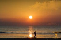 ae9dfaf5-2b26-4efb-a3ab-82f672b849bd