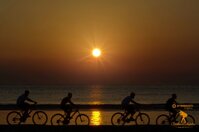 1d4a8aff-e121-4108-9536-99c9371b0b85