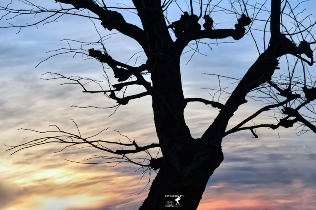 6b48a44c-1b88-4c1b-9d0b-60a2fd400d1e 6b48a44c-1b88-4c1b-9d0b-60a2fd400d1e