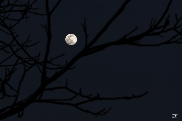 fc4da418-927e-4a9d-a1c3-9f8906c9bd05