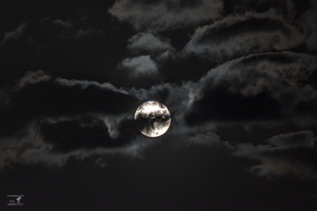 98c2df9a-045d-449f-801c-3e0fdbd7d38a