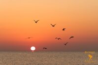 0c14e41a-740c-4c00-bb7e-2949fd37d661