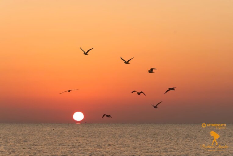 0c14e41a-740c-4c00-bb7e-2949fd37d661
