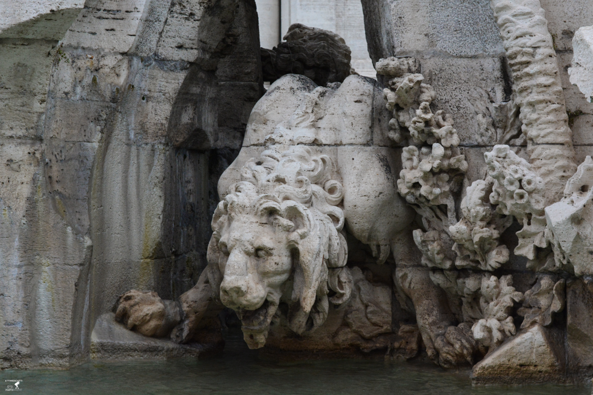 Il leone