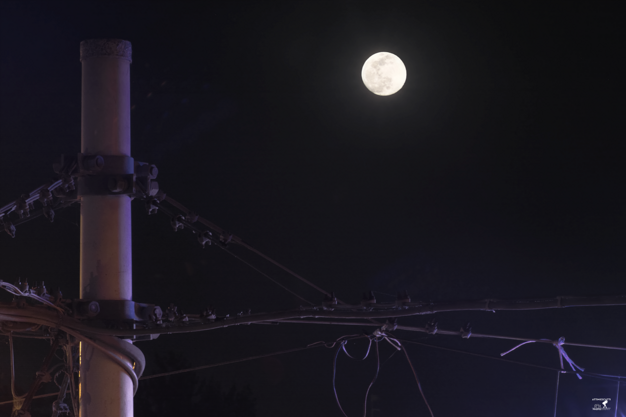 a302021c-ed9c-456c-acbc-9e4cd31a872a