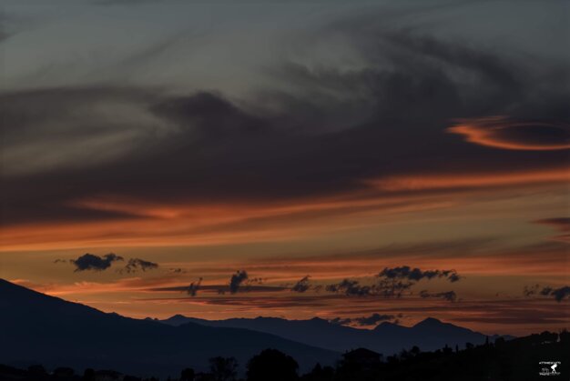 c3c8547e-f6f1-43d1-a0b0-44455277e87e