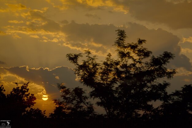 ed1c94f8-d21f-4e06-8d78-d8907b3118bd.jpeg ed1c94f8-d21f-4e06-8d78-d8907b3118bd.jpeg