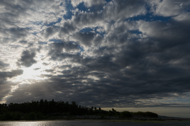 806f0678-b054-4f11-9080-2afaf8e4b662 806f0678-b054-4f11-9080-2afaf8e4b662