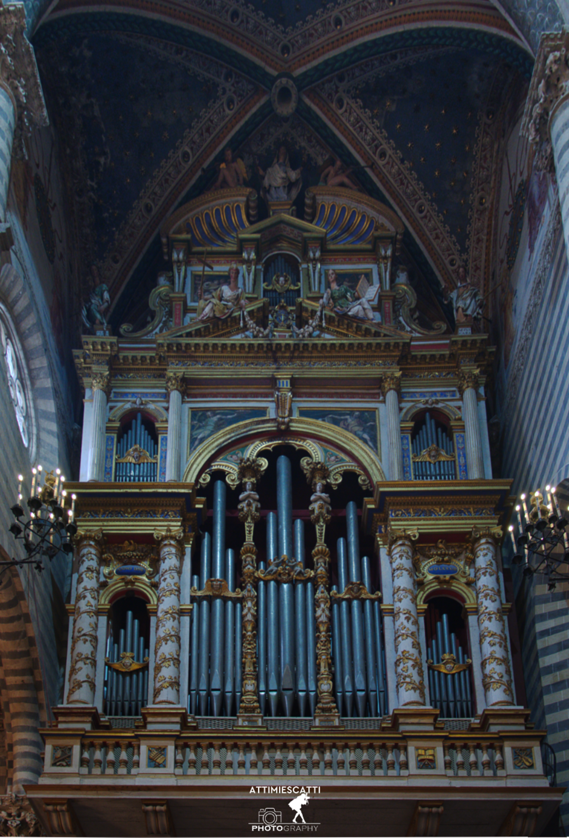 b9f6d00c-fa7c-4c82-a996-07e86f9f02ba