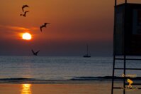 cff59ced-9789-4e36-93c5-1a17a29c8fe8