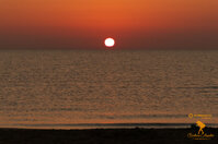 f534973e-25f3-47b0-954c-f950071082a7