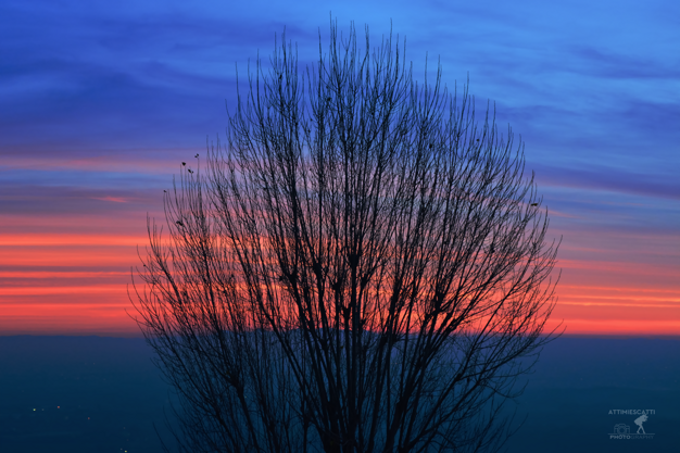 6eb7427f-5ee3-4515-b2cc-2460d50cc10b 6eb7427f-5ee3-4515-b2cc-2460d50cc10b