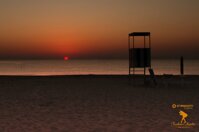 aedb3c1c-ce3c-4fa3-9432-f4bb3afeb977