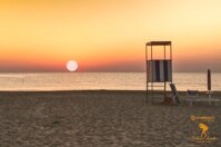 f08486d0-a496-4c8b-a58f-acb455feeb6e