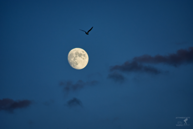 039a1496-2874-4082-8398-3370af26c57e