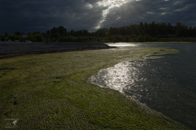 2a1f1dc0-8745-4136-9ea0-8b3c4d3e292d