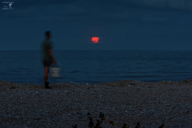 857b7de3-fac5-4960-b8e8-56aab99d2213