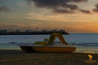 56e2ef9a-5364-4ebf-9275-ec41b33e8503