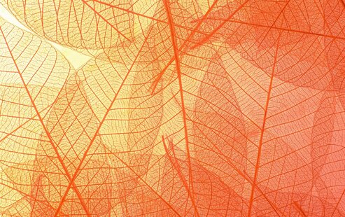 24d96124-0a9b-45d8-939b-db02b658ccc1