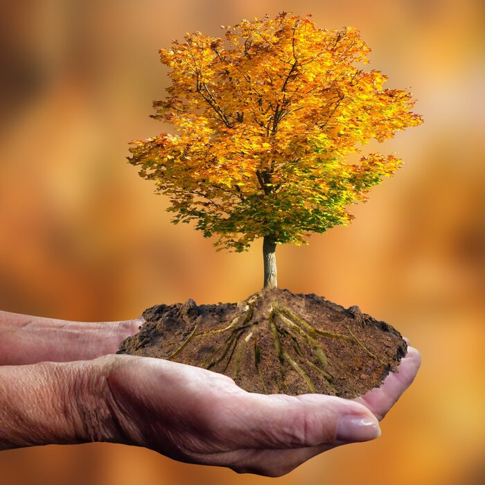 c6940d20-ec1a-4b99-96ec-2d8df0dbd0c3