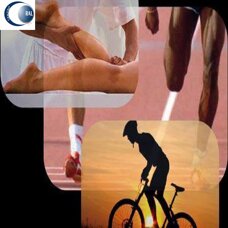 533d1b5c-8a10-4179-a2a6-fe8630948d9f