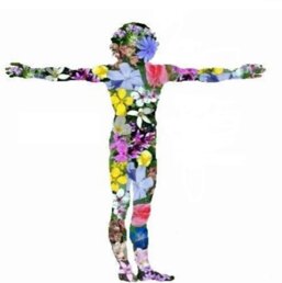 c059694d-caf9-480b-955a-7cb6d6a640d6