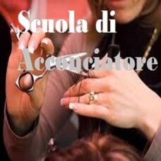 d29a42d6-fbb6-4490-a719-54e009a60fd3