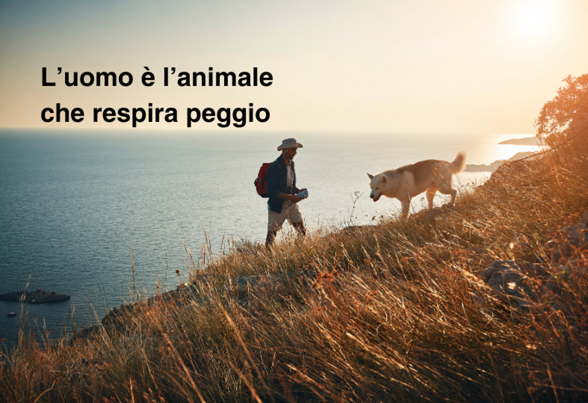 81efbcae-1491-4d23-bf01-c7058629e100