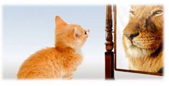 66fc5aac-2a1c-4528-bd41-552fc140ec06 66fc5aac-2a1c-4528-bd41-552fc140ec06