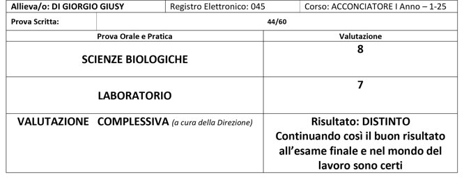 digiorgio.jpeg digiorgio.jpeg