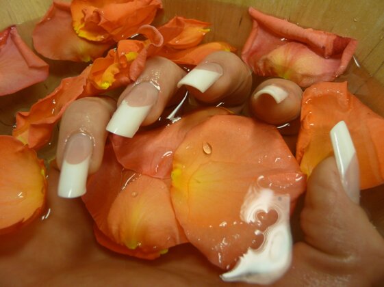 7a26b07a-9304-48ec-8027-b500c5bc1bcb