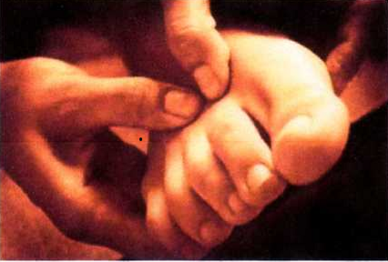 988b0ad2-9c2f-4886-98af-7d5d26addfcd