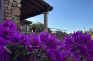 logo cani.jpeg logo cani.jpeg