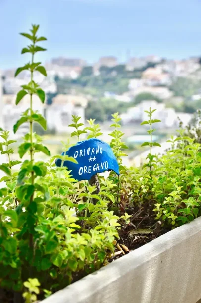 B&B Il Giardino di Ferrara SOCIO HOSTPITARE 