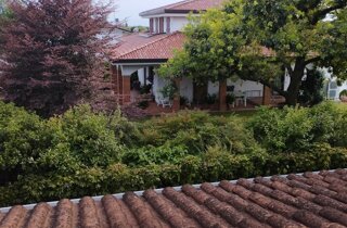 unnamed.jpeg unnamed.jpeg